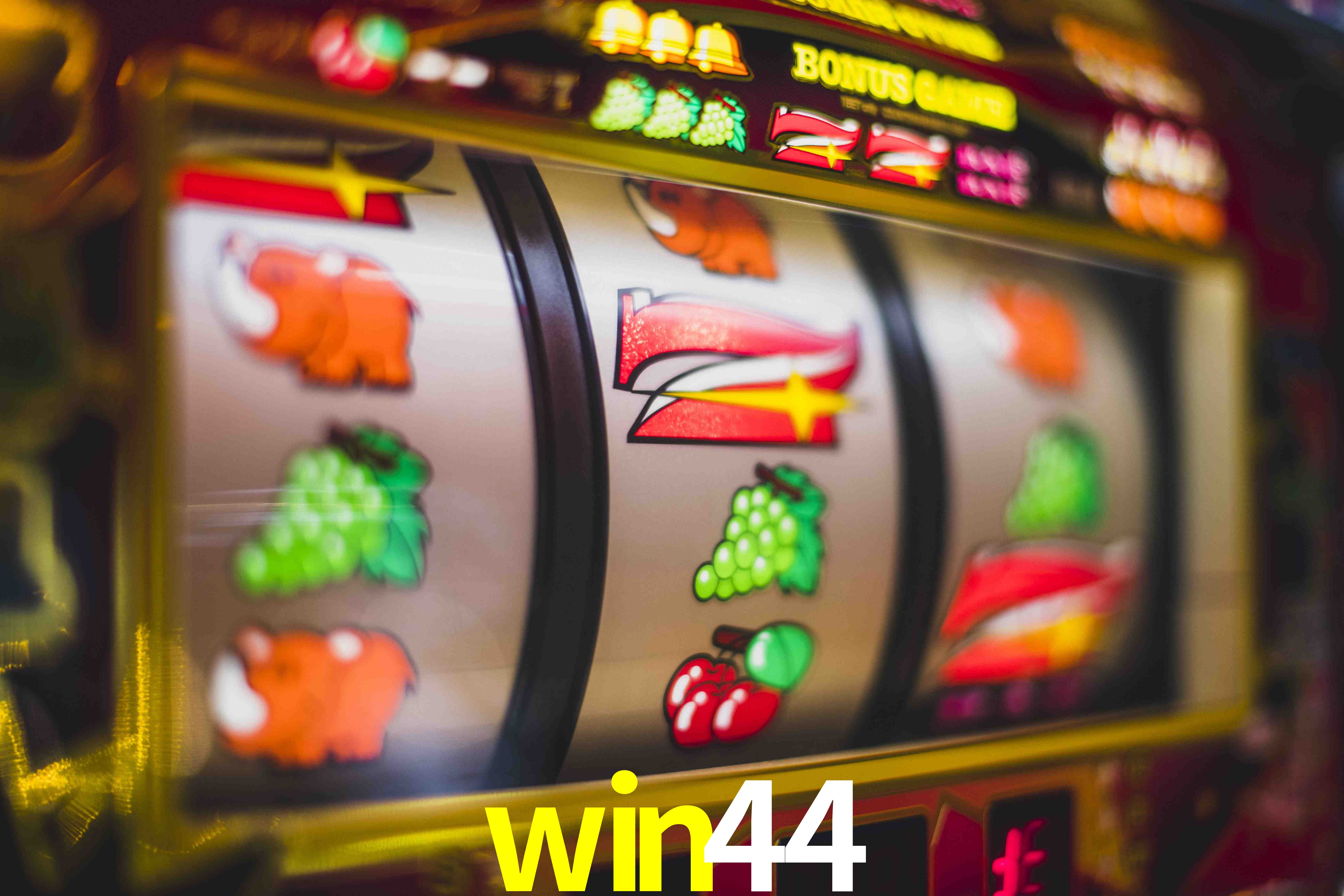 Sports Statistics win44